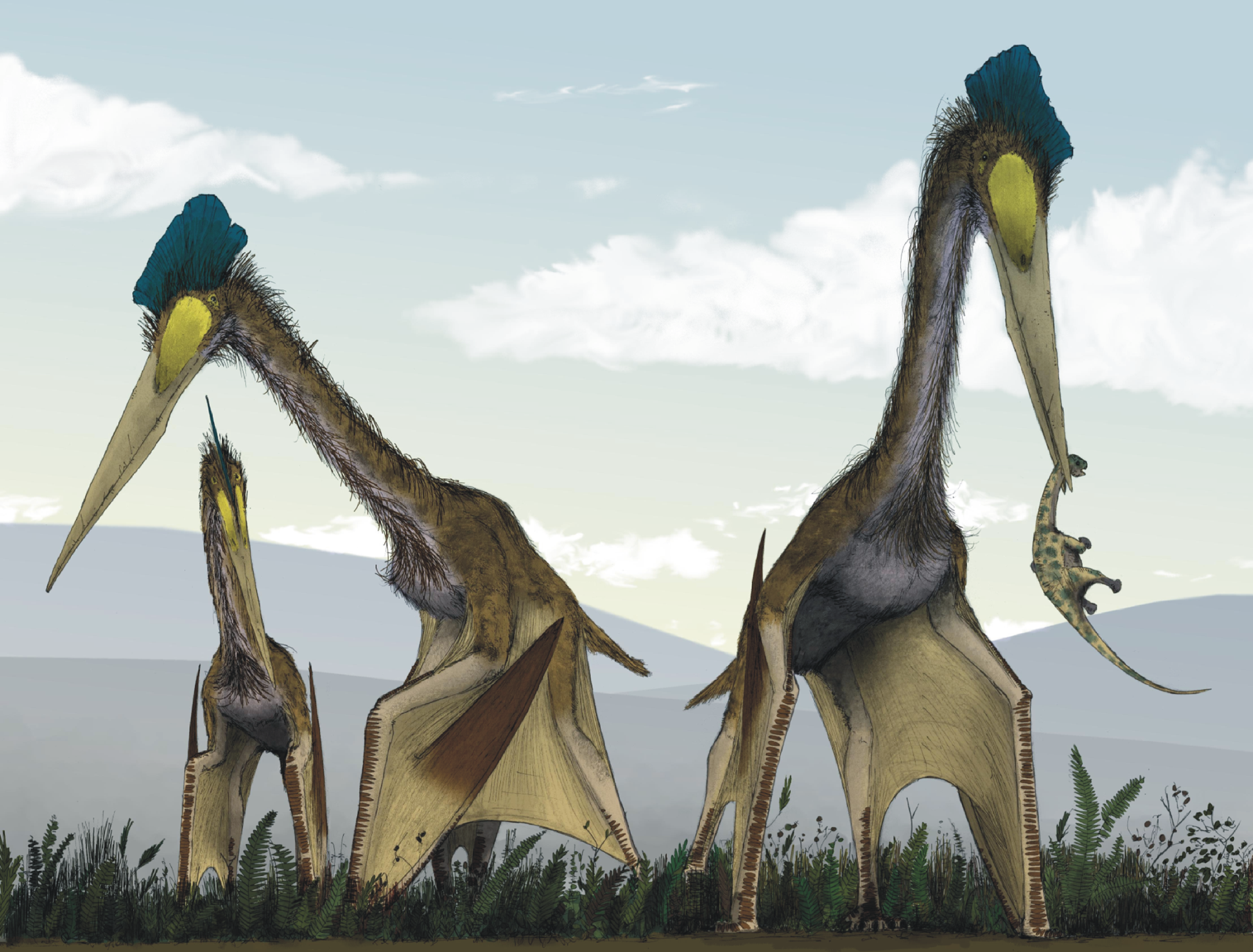 Intact pterosaur eggs reported found with parents