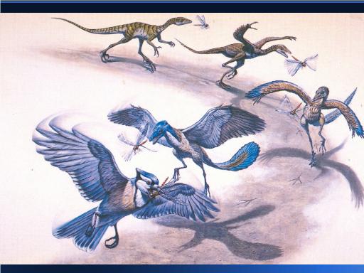 Dinosaurs evolved into flying birds, scientists say