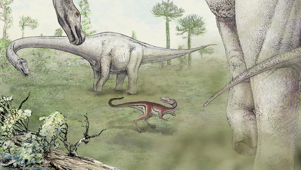 New dino described as largest weighable specimen ever