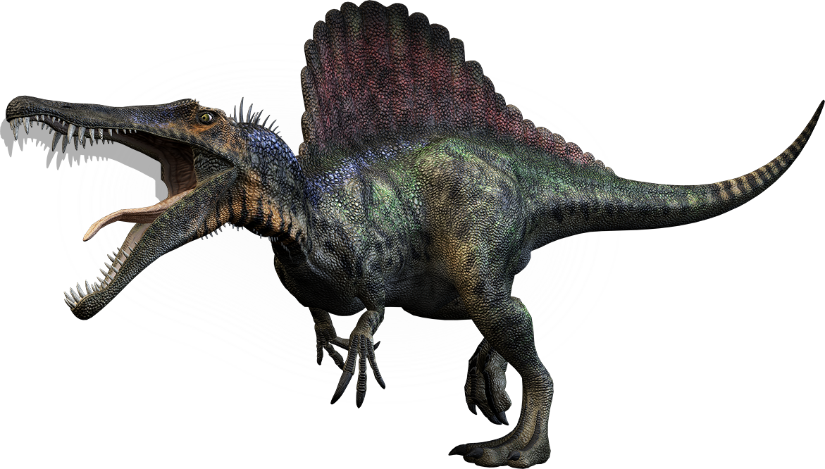 Scientists report first semiaquatic dinosaur, Spinosaurus: Massive predator was more than 9 feet longer than largest T. rex