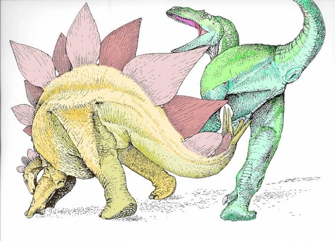 Dueling Dinosaurs: Stegosaur Stabbed Predatory Allosaur to Death with Deadly Tail Spike