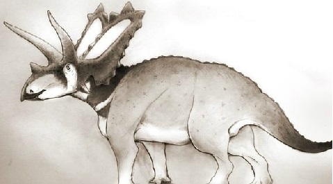 'Rhinoceros-like' dinosaur identified by studying fossils in a museum