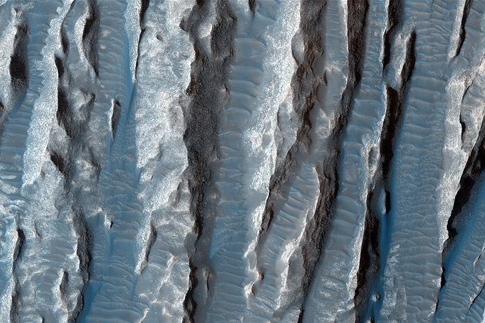 NASA News : Finger like structures on the red planet