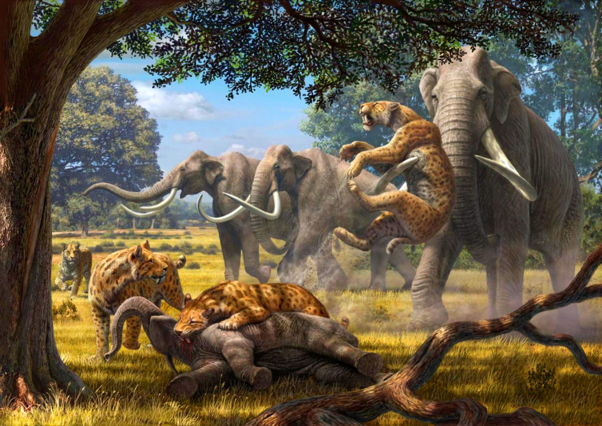 Think lions are scary today? You have no idea about the Pleistocene epoch