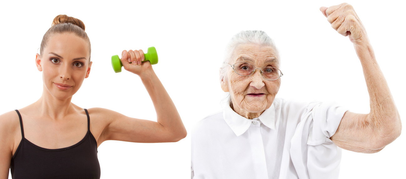 Study find promising results in treating age-related decline in muscle mass and power