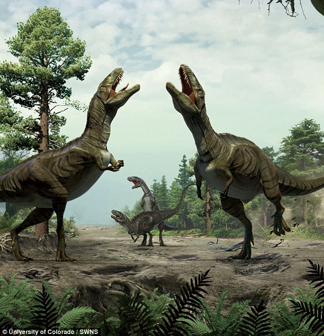 Dinosaur love nests unearthed by Colorado research group