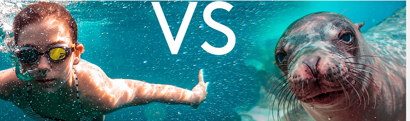 Who hear best underwater - human or seal?