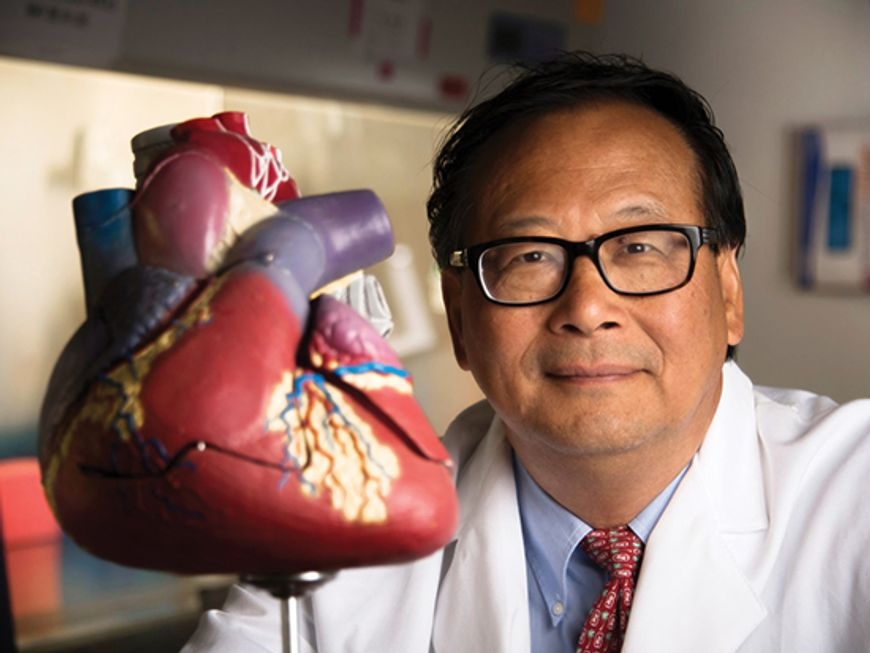 Changed gene expression after heart surgery extends cardiomyocyte regeneration