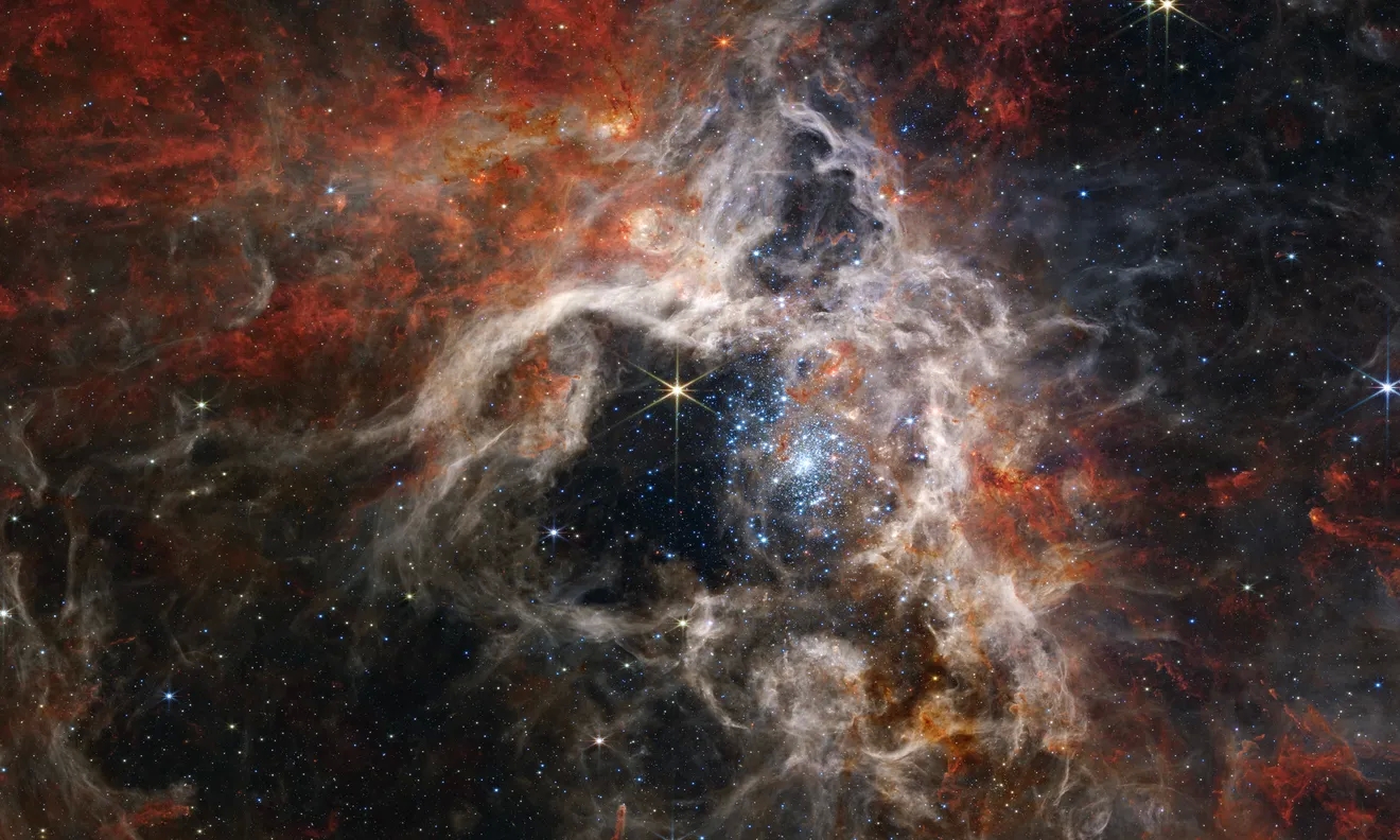 Astro­physics: Star-child­hood shapes stel­lar evo­lu­tion