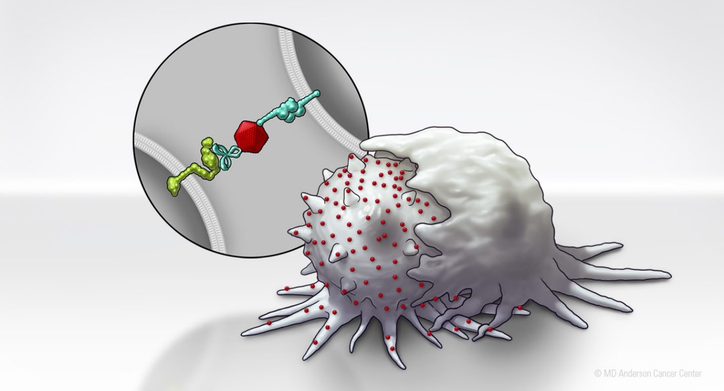 Nanotechnology platform enables immune conversion of cancer cells, sensitizing them to immunotherapy