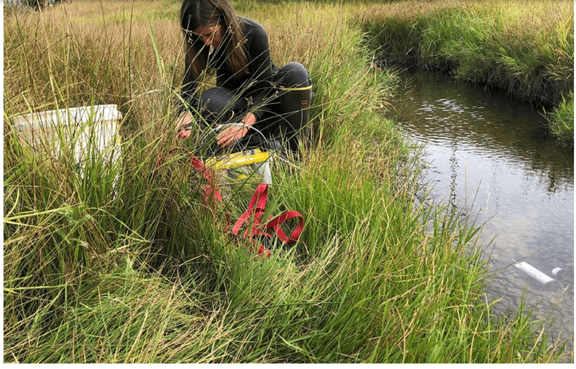 Global study of hypoxia in rivers shows it is more prevalent than previously thought