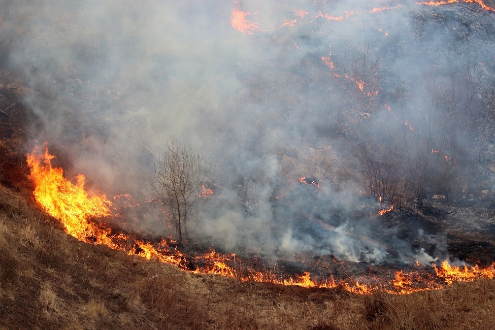 RESEARCHERS MAP WIDE IMPACTS OF FIRE-INDUCED PERMAFROST THAW IN ALASKA