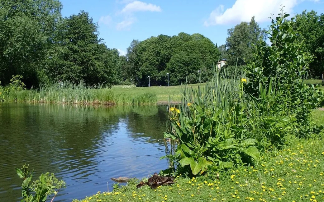 Urban ponds require attention to ensure biodiversity