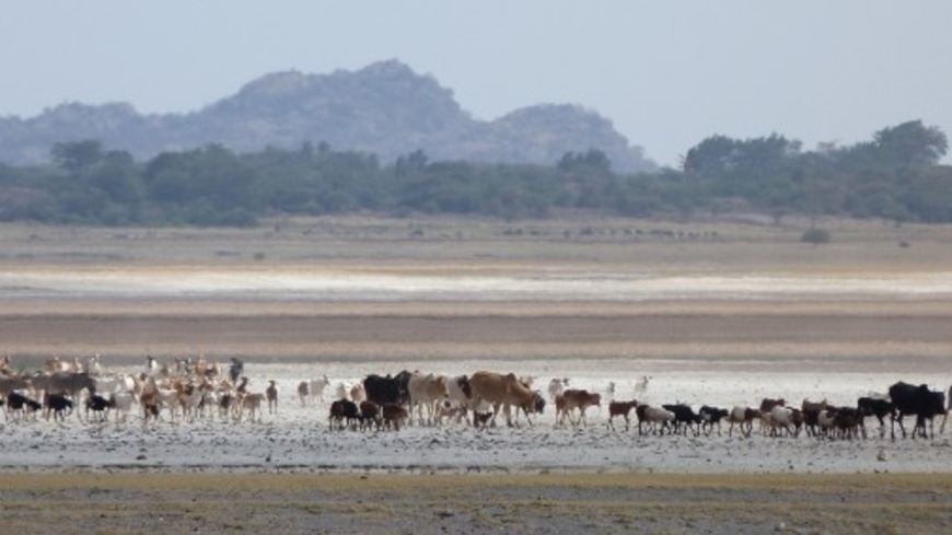 Scientists use satellite images to study the degradation of rangelands in Tanzania