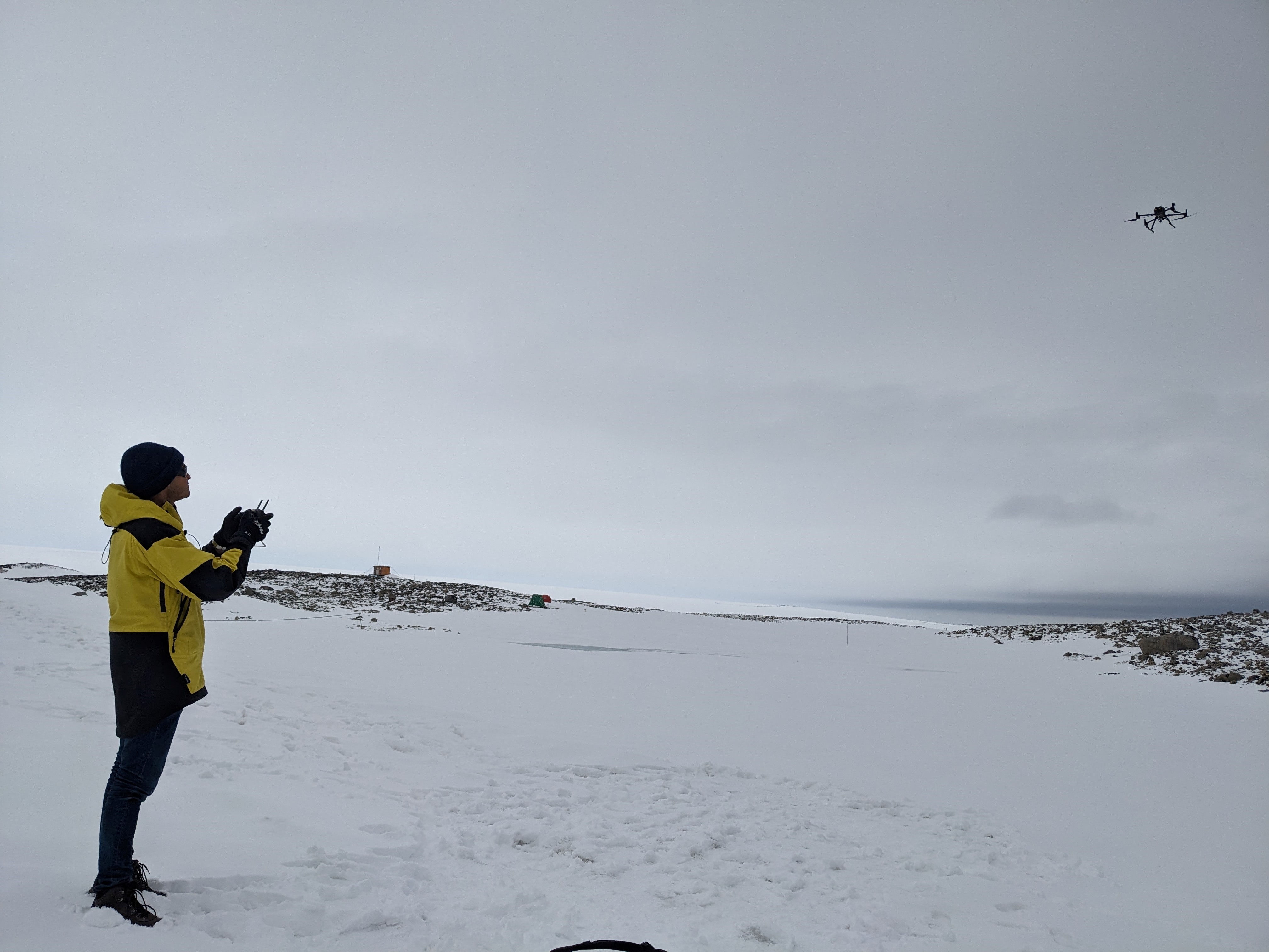 Drones detect moss beds and changes to Antarctica climate