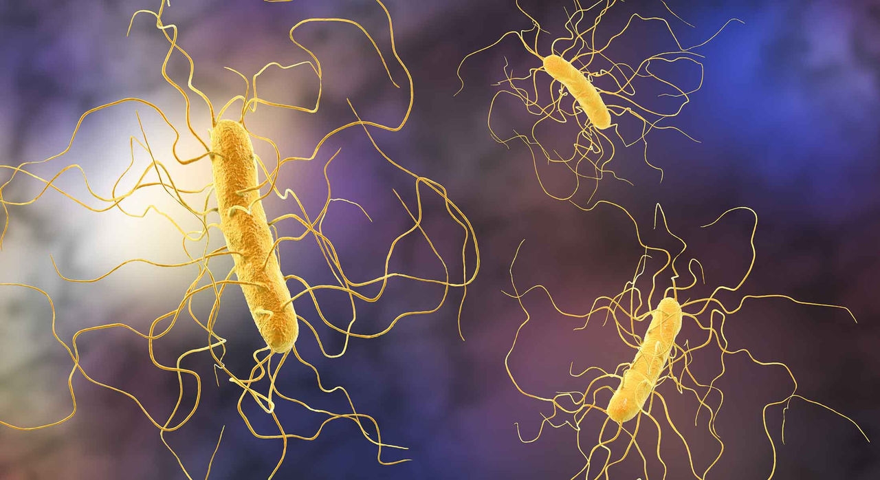 Mass General Brigham Researchers Uncover Metabolic Secrets of Anaerobes and Identify New Strategies to Treat C. difficile Infections