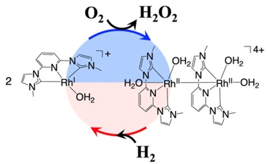 A safe synthesis of hydrogen peroxide inspired by nature