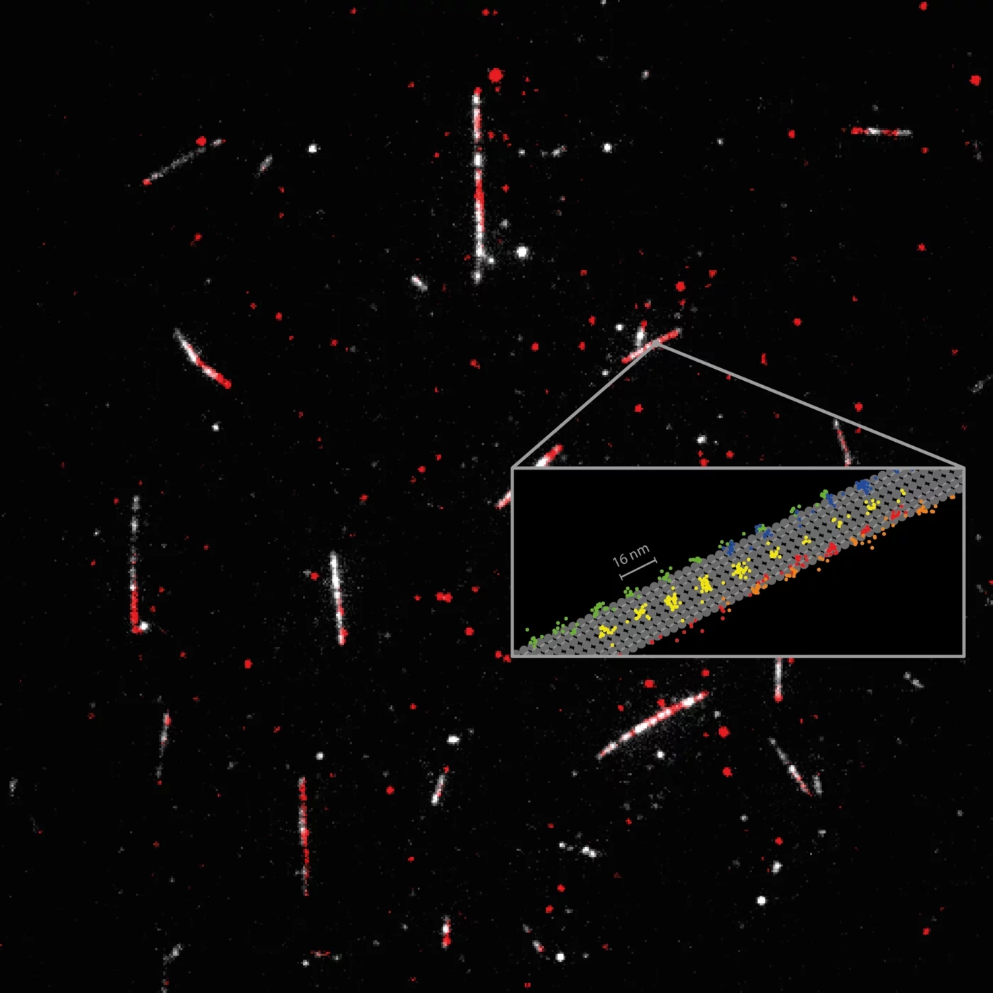 Major advance in super-resolution fluorescence microscopy