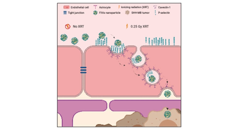 Scientists Develop Novel Approach to Enhance Drug Delivery for Brain Tumors in Children