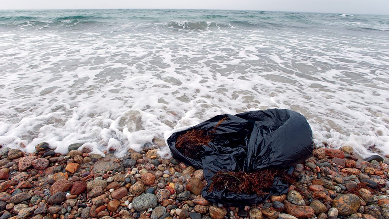 WHOI helps lead groundbreaking study on the human and ocean health impacts of ocean plastics