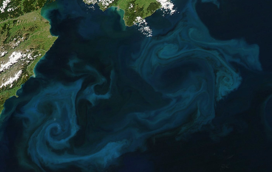 Phytoplankton blooms offer insight into impacts of climate change