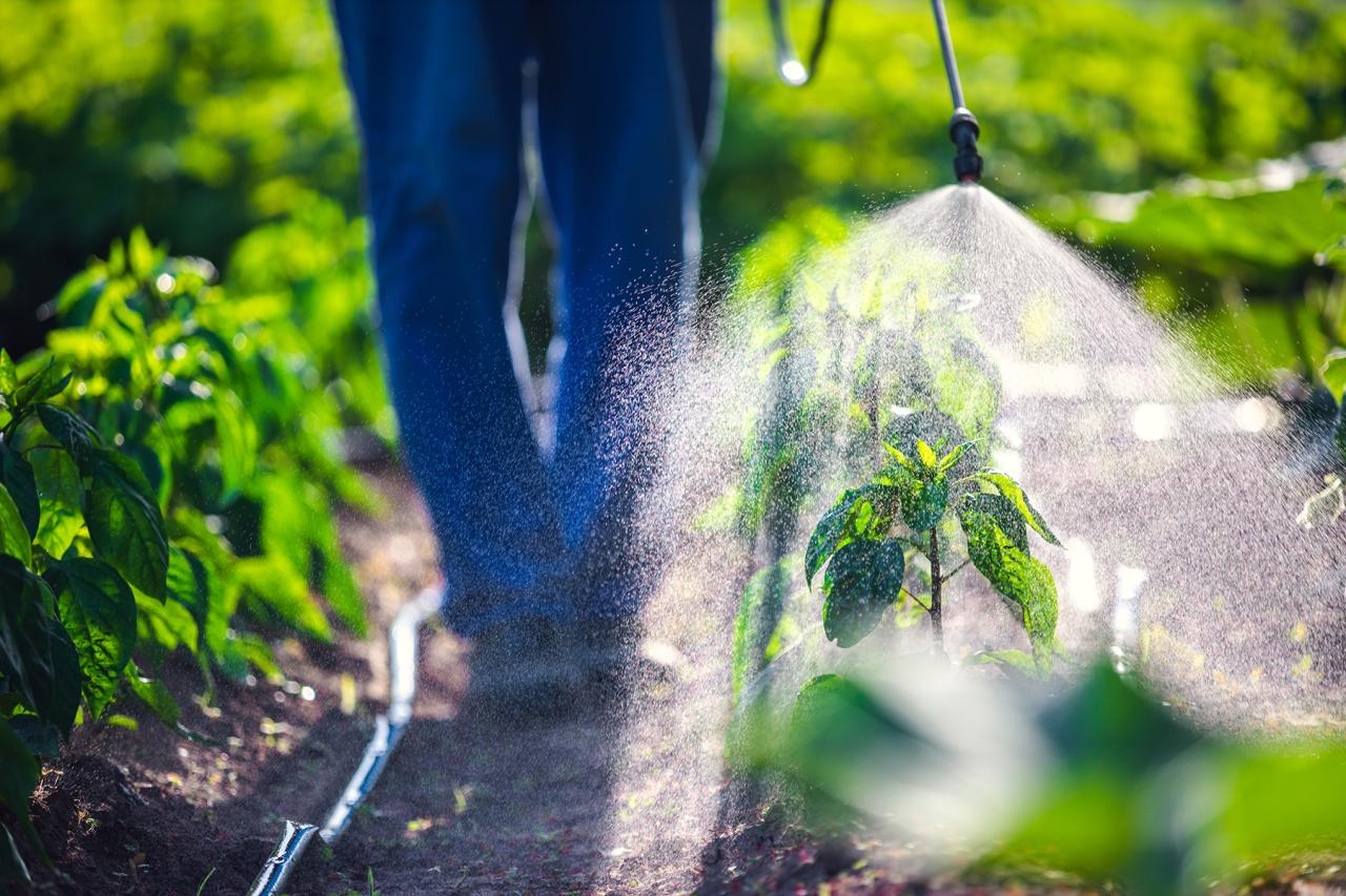 Engineered Plants Produce Sex Perfume To Trick Pests And Replace Pesticides