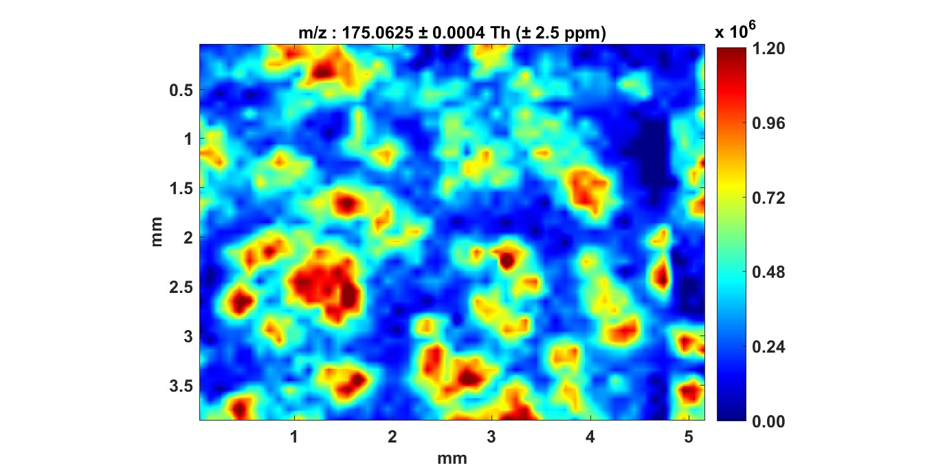 Bacterial signaling across biofilm affected by surface structure