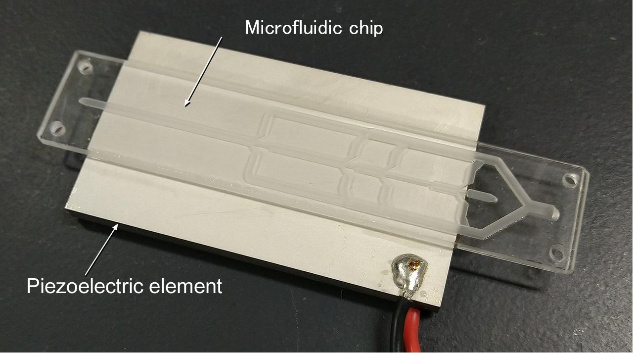 Filtering Pollution: A Microfluidic Device for Collecting Microplastics via Acoustic Focusing