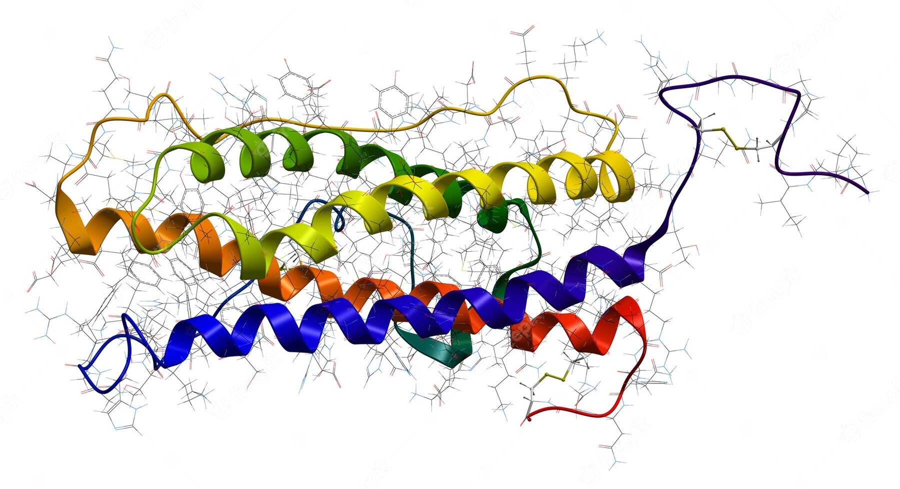 Mammalian Evolution Provides Hints for Understanding the Origins of Human Disease