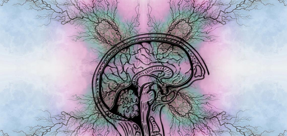 Neuronal activity shapes the development of astrocytes