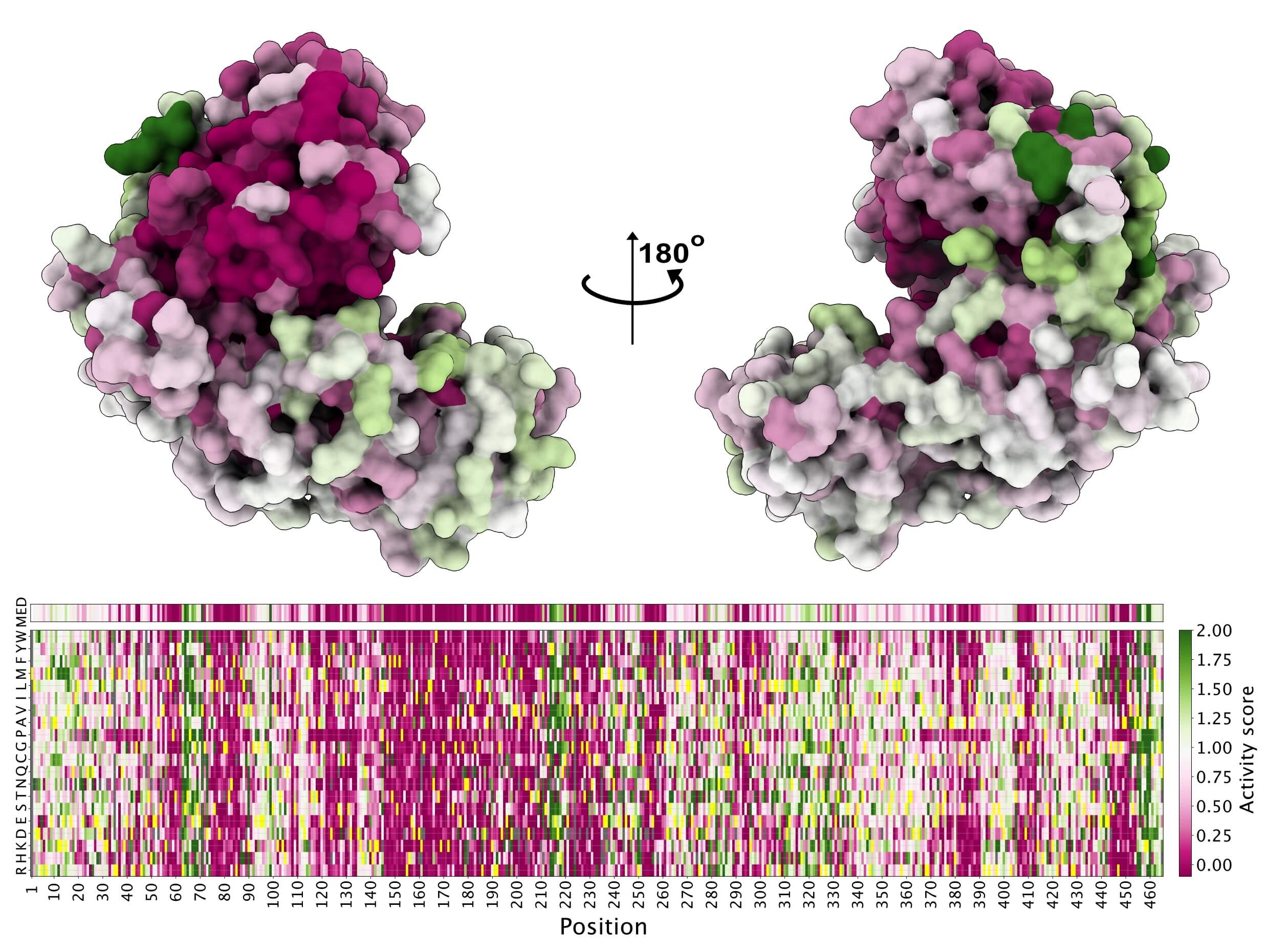 High-throughput experiments might ensure a better diagnosis of hereditary diseases