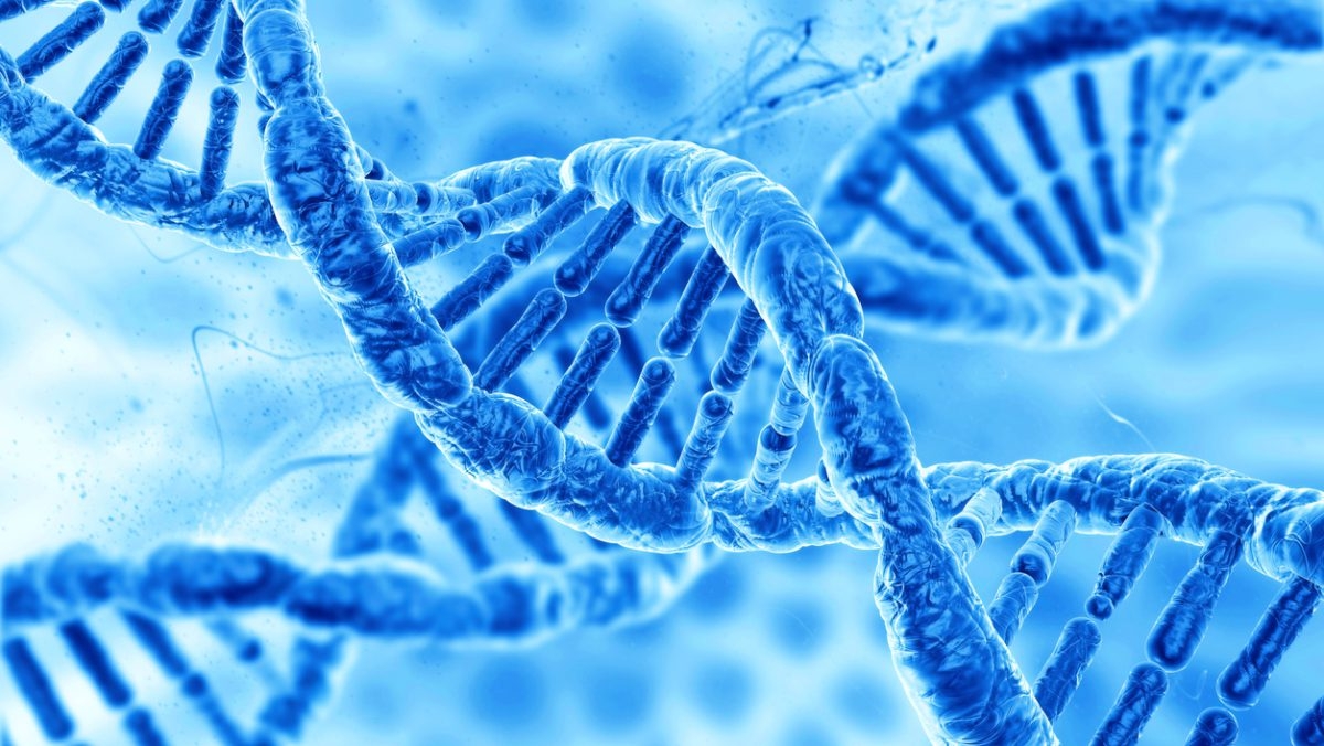 USC researcher uses mammal DNA to zoom into the human genome with unprecedented resolution