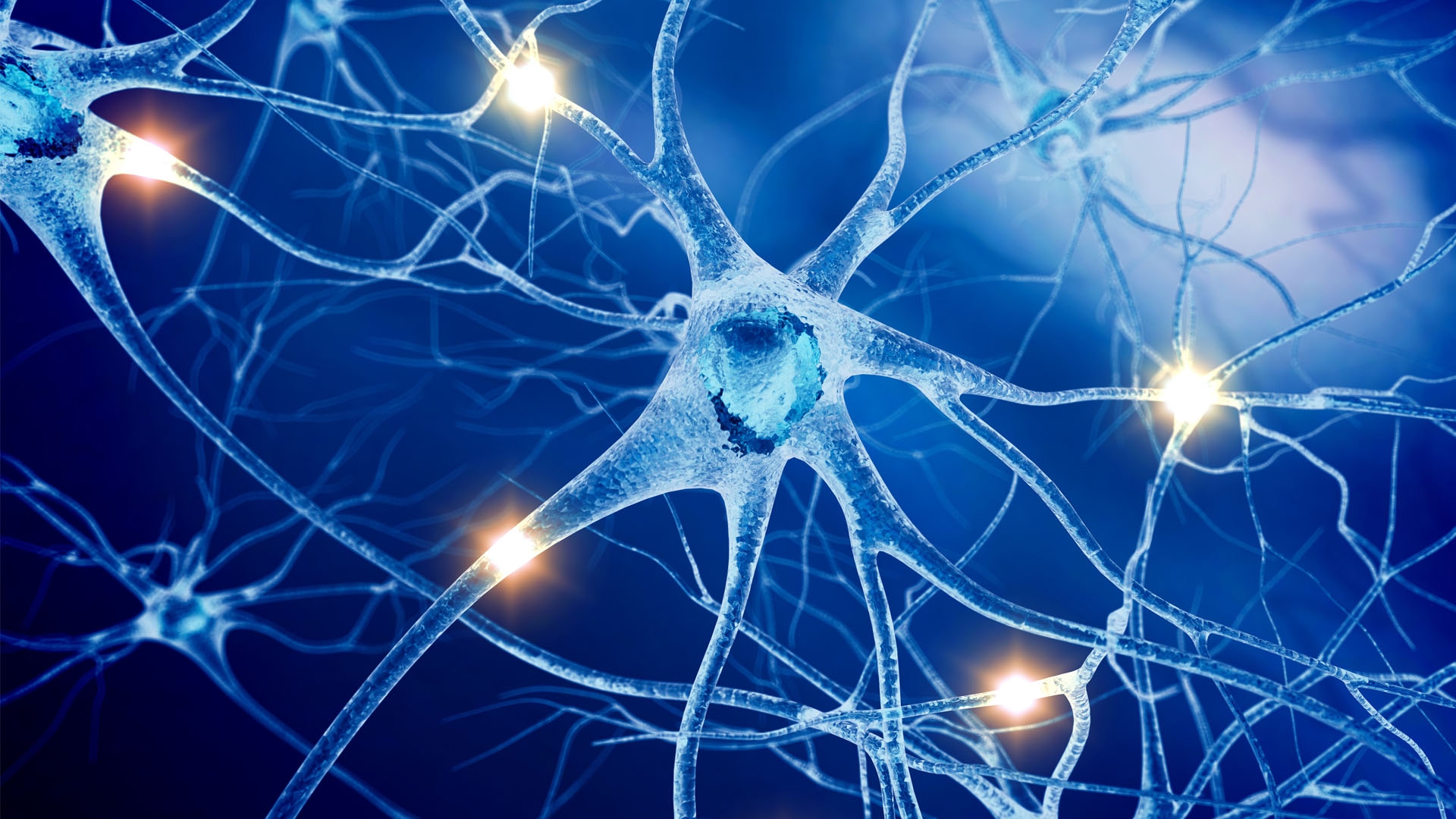 Einstein Researchers Discover How Long-Lasting Memories Form in the Brain