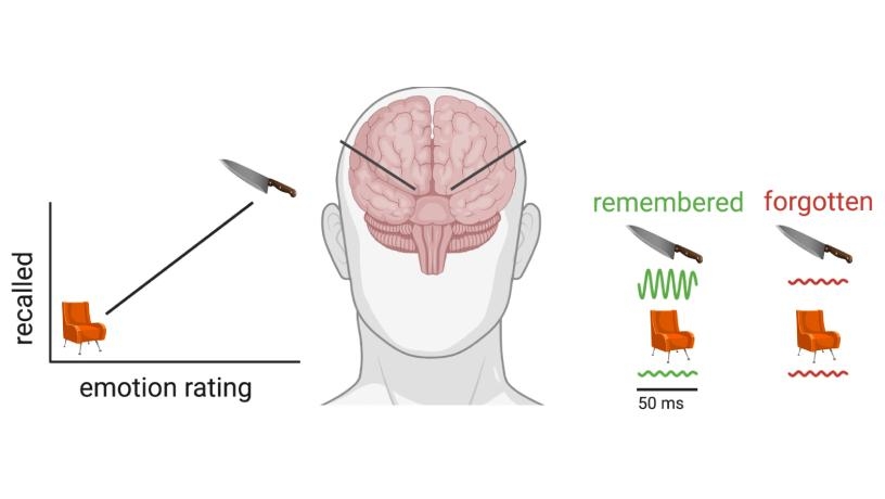 Why Do We Remember Emotional Events Better?