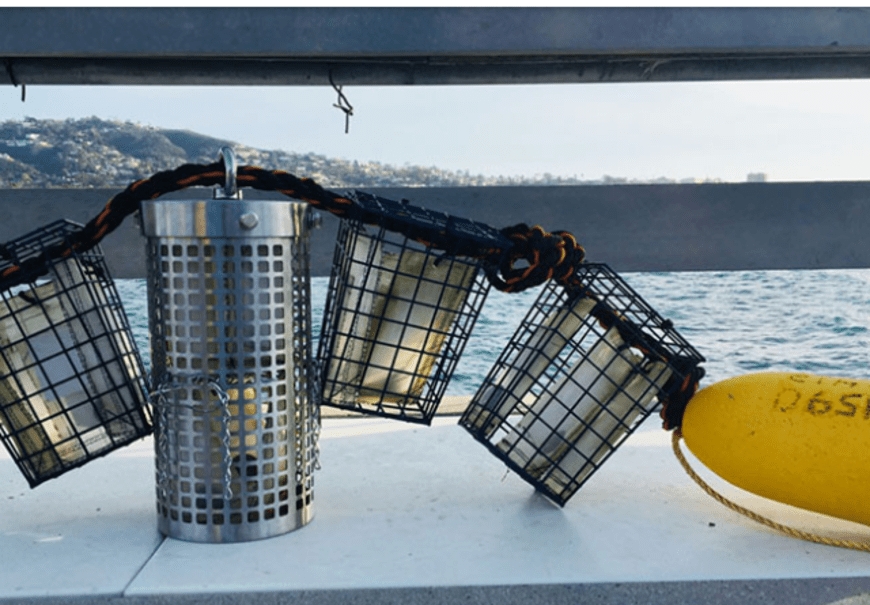NOT SO BIODEGRADABLE: NEW STUDY FINDS BIO-BASED PLASTIC AND PLASTIC-BLEND TEXTILES DO NOT BIODEGRADE IN THE OCEAN