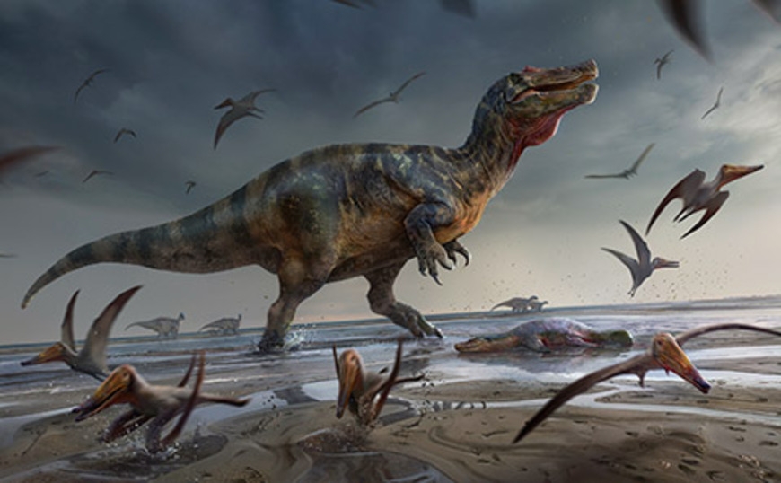 Multiple species of semi-aquatic dinosaur may have roamed pre-historic Britain