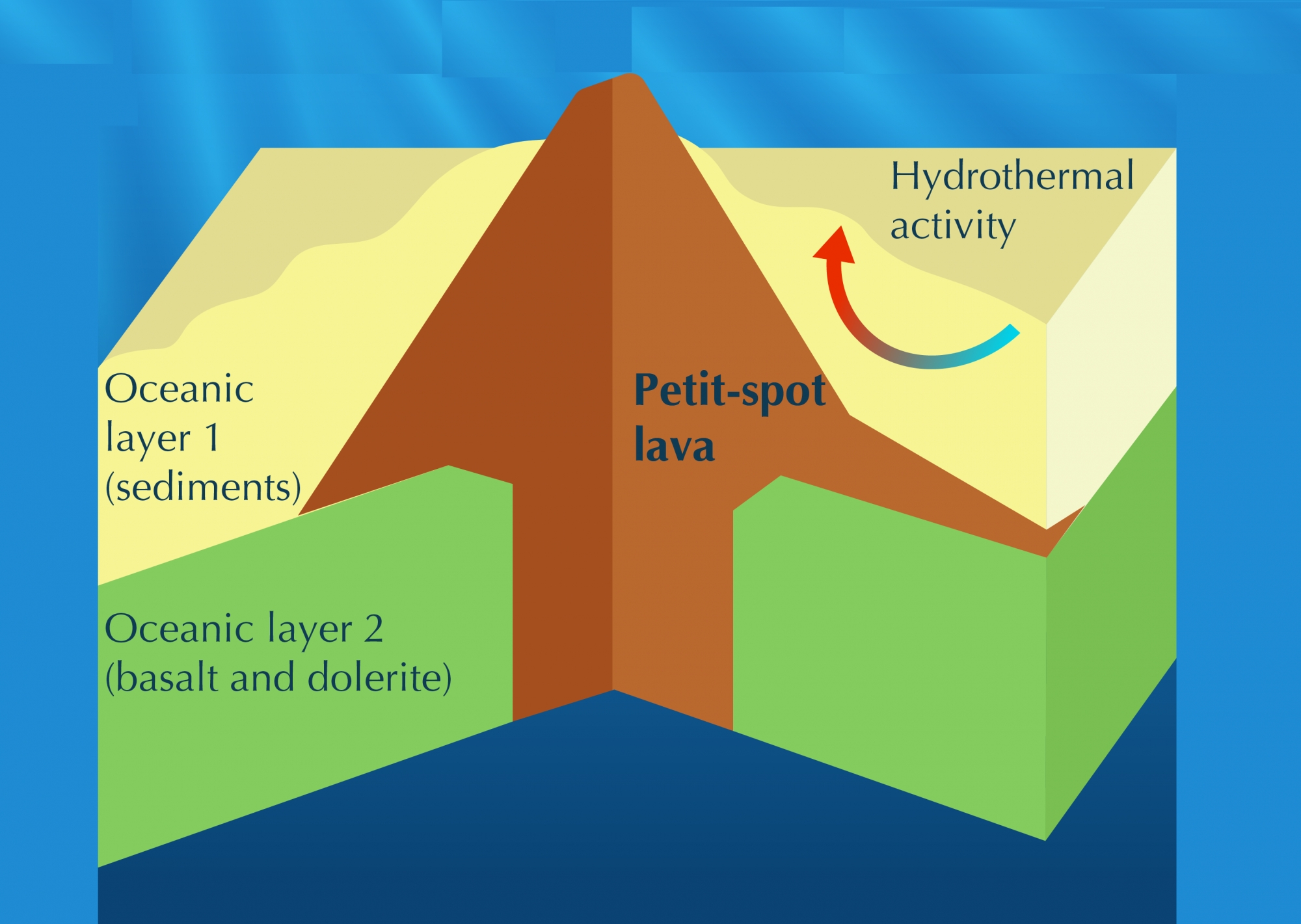 Petit-Spot Volcanoes Involve the Deepest Known Submarine Hydrothermal Activity, Possibly Release CO2 and Methane