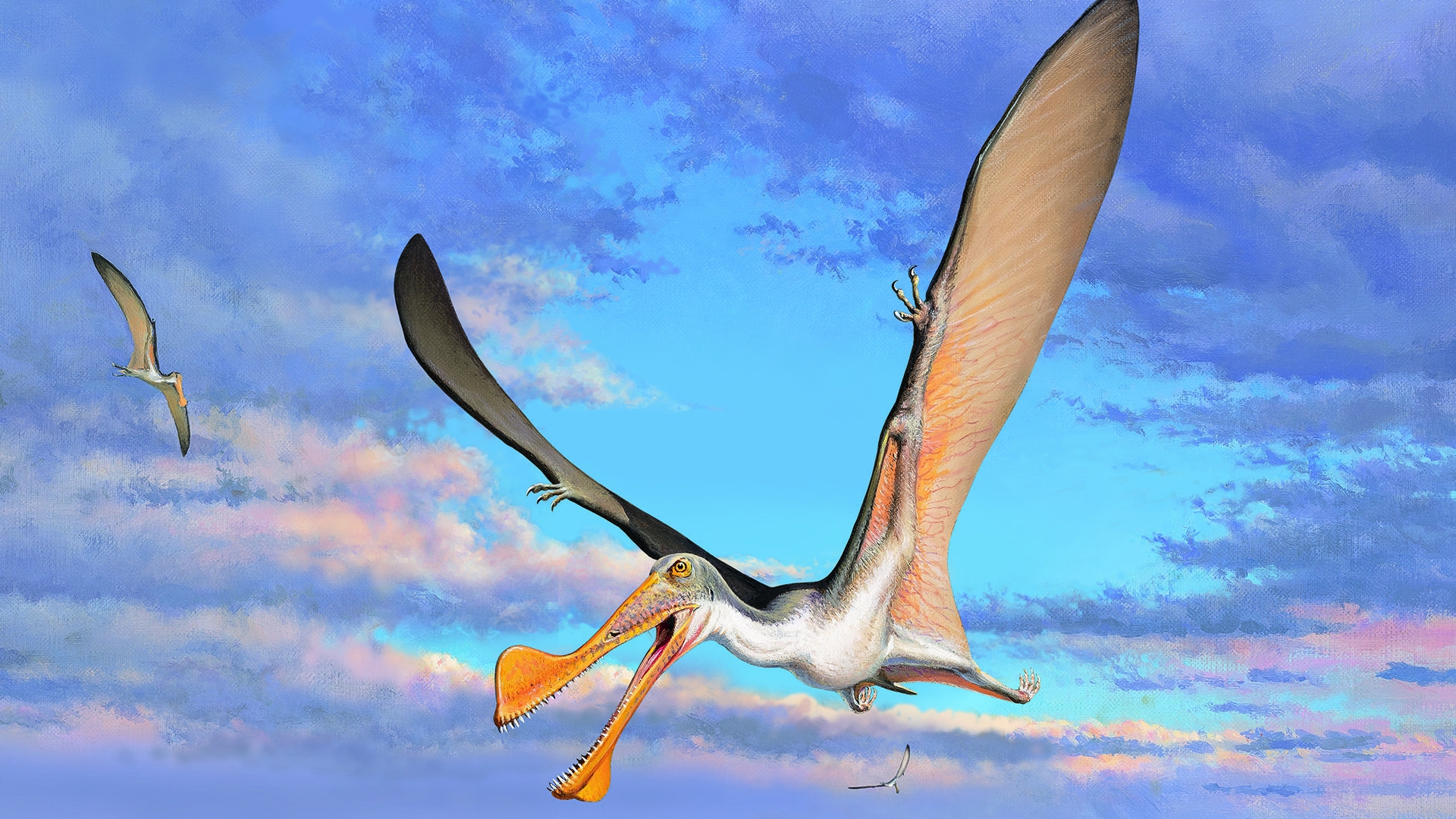 Study finds 107-million-year-old pterosaur bones are oldest in Australia