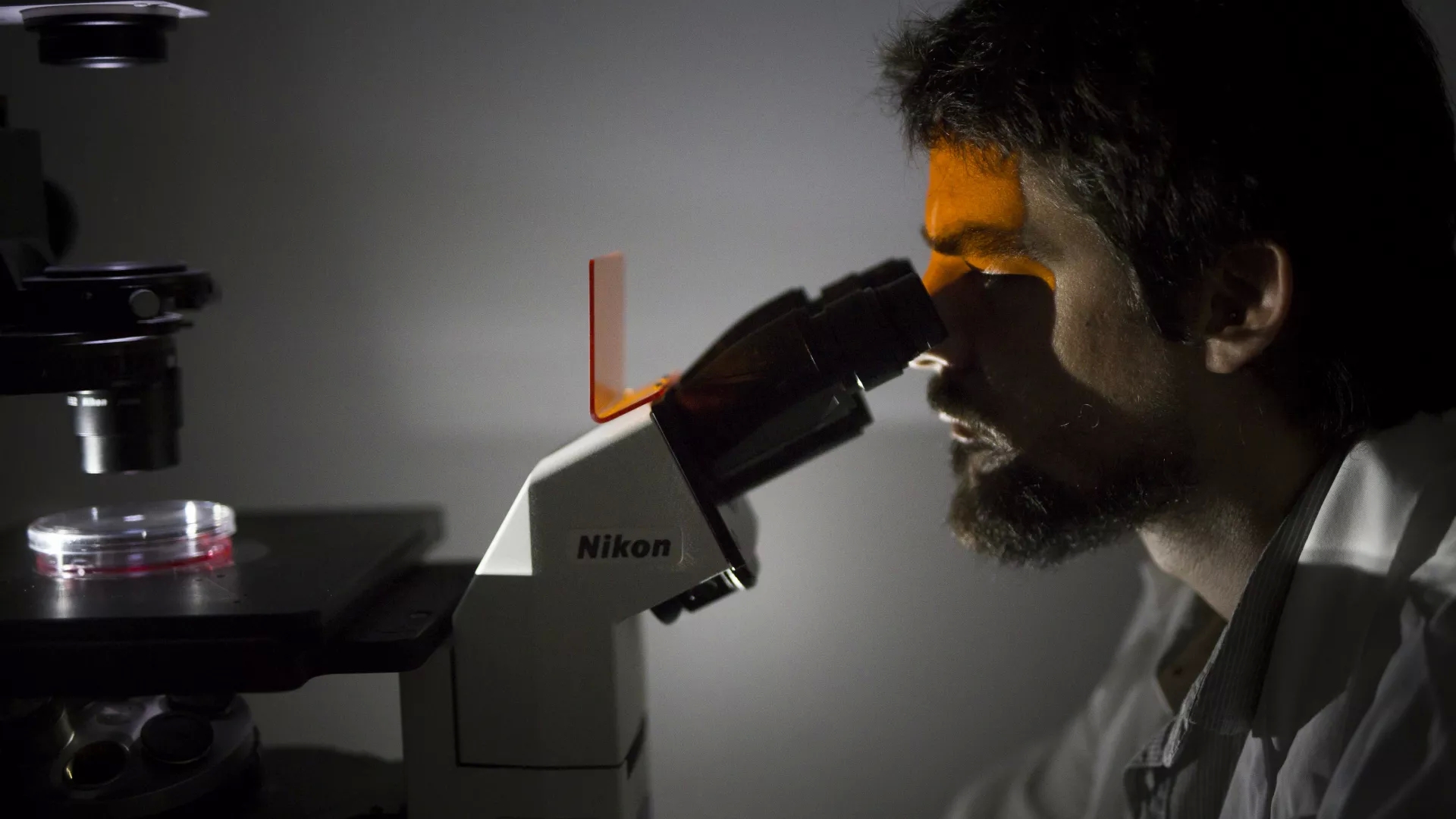 The IL-17 protein plays a key role in skin ageing