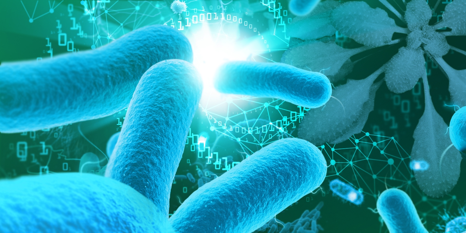 Building models to predict interactions in plant microbiomes