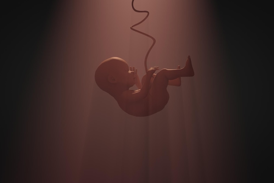 Unlocking a Mystery of Fetal Development