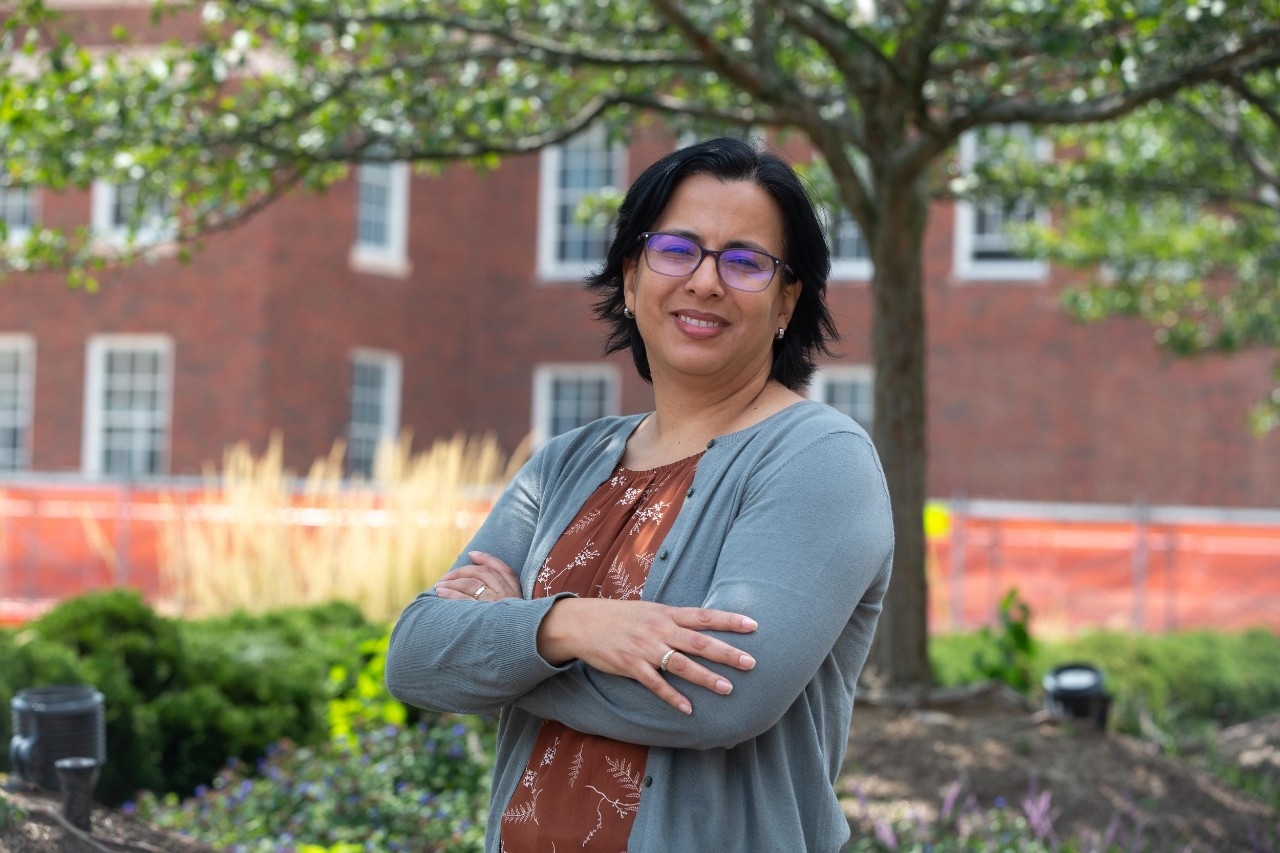 UC insights could lead to treatments for insect-borne illness