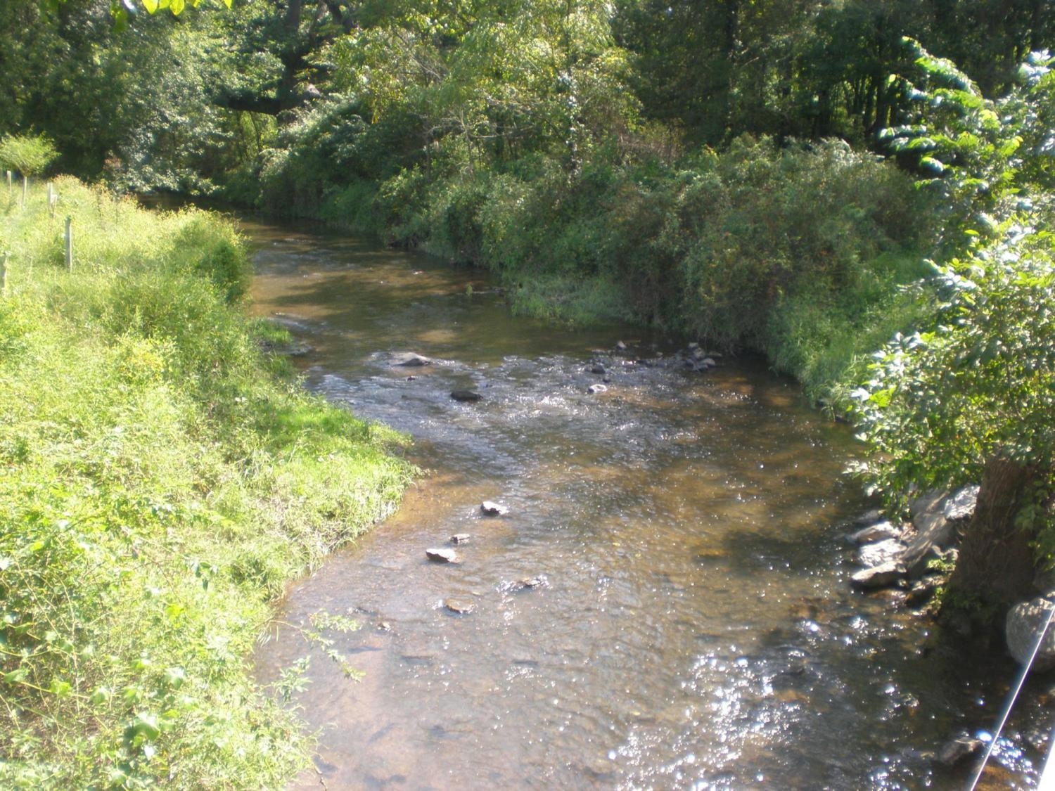 Rivers rapidly warming, losing oxygen; aquatic life may be at risk, study finds