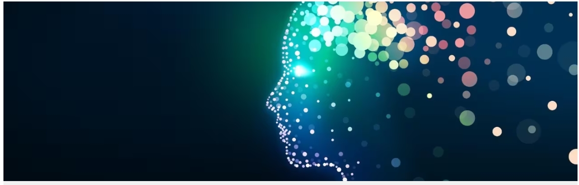 Evolution wired human brains to act like supercomputers