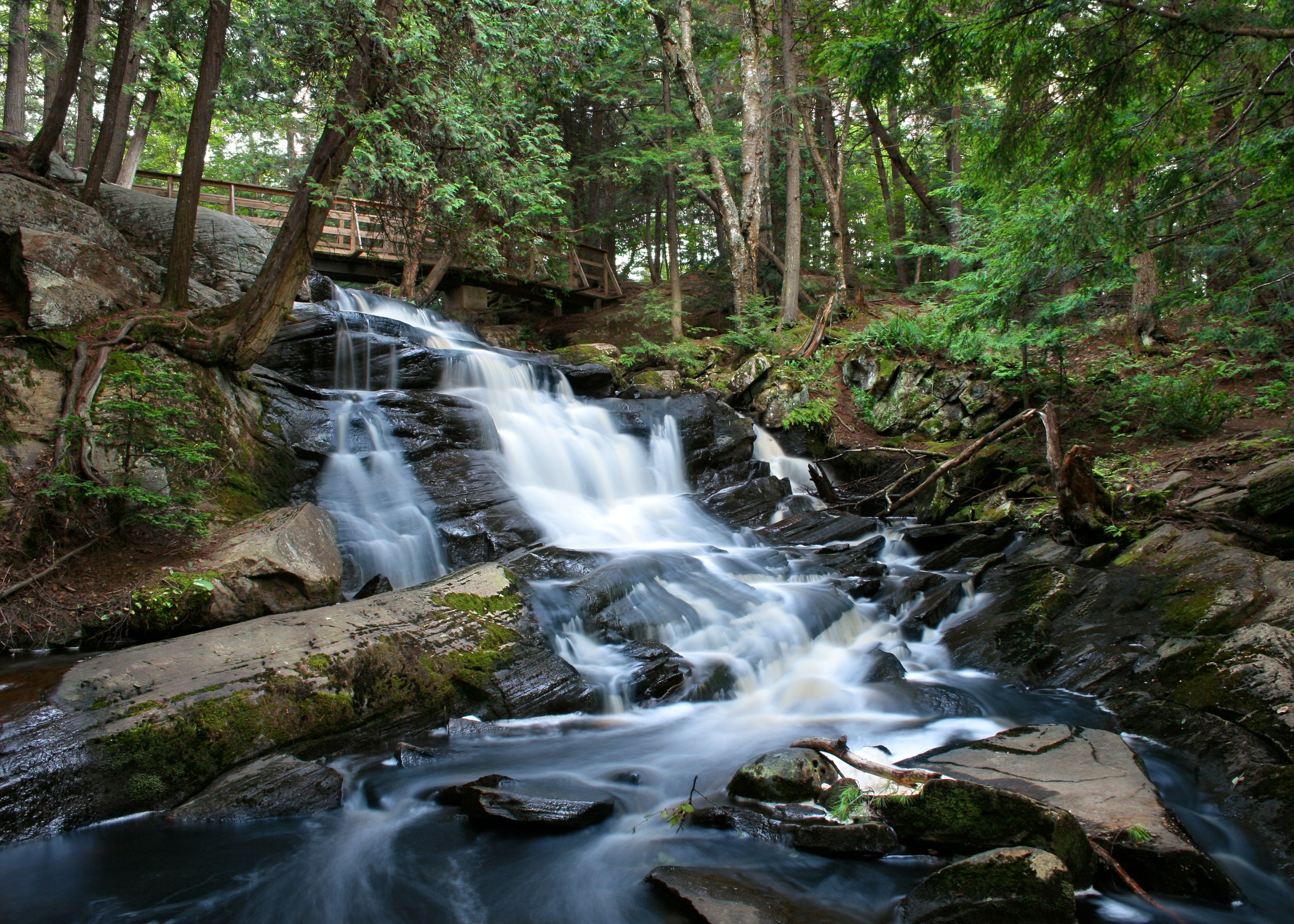 Rivers may not recover from drought for years