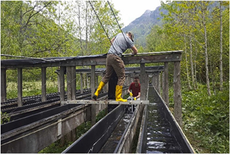 Study shows forensic evidence can survive underwater for weeks