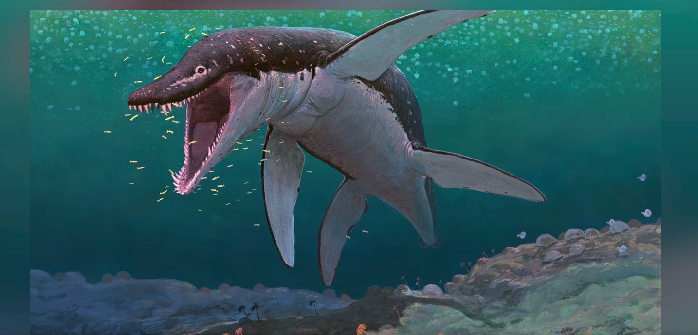 Ancient sea monster remains reveal oldest mega-predatory pliosaur