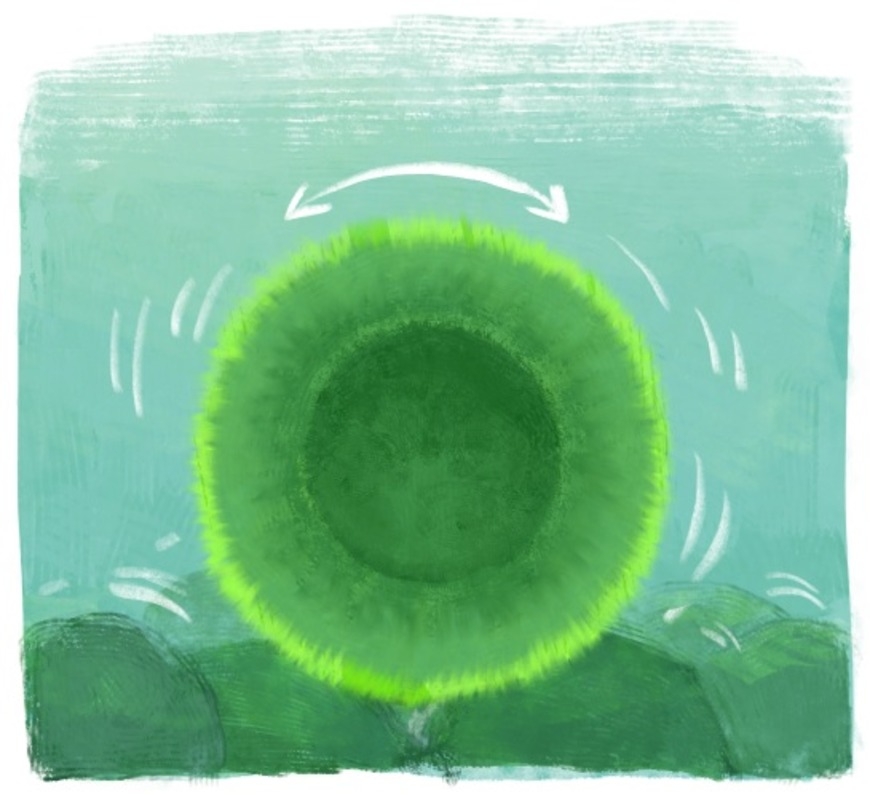 Unique marimo threatened by rising lake temperatures