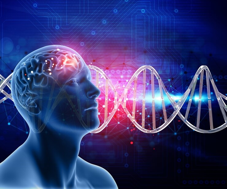 What Happens When We Pass Out? Researchers ID New Brain and Heart Connections