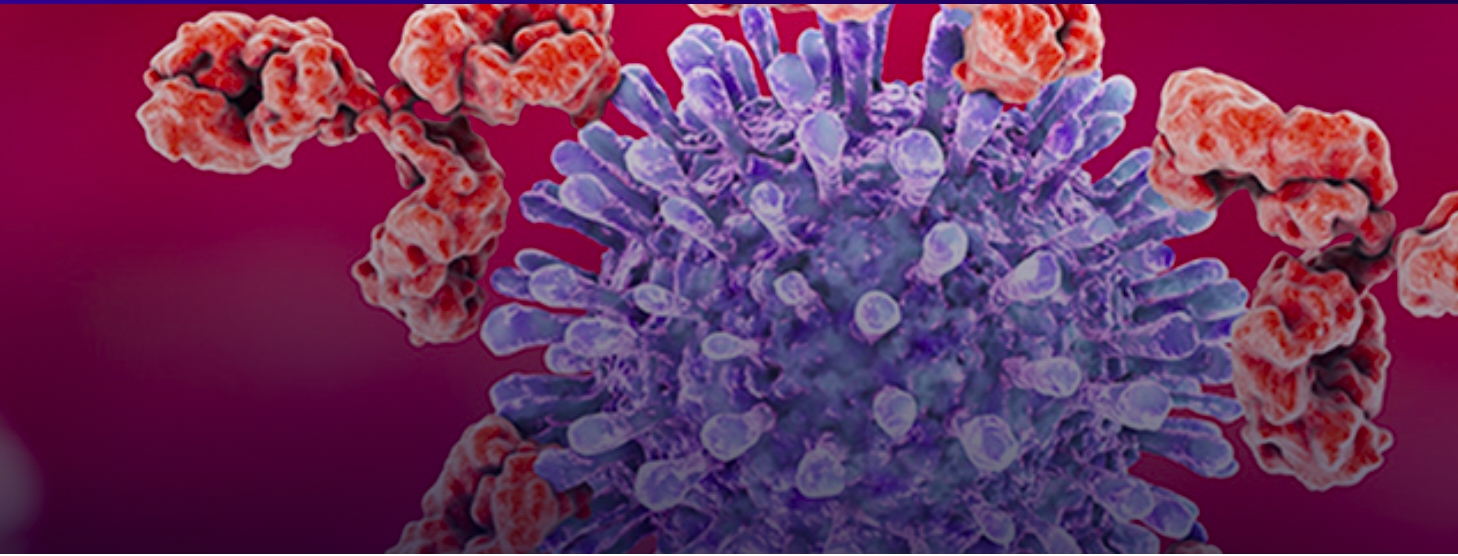 Pinpointing HIV immune response